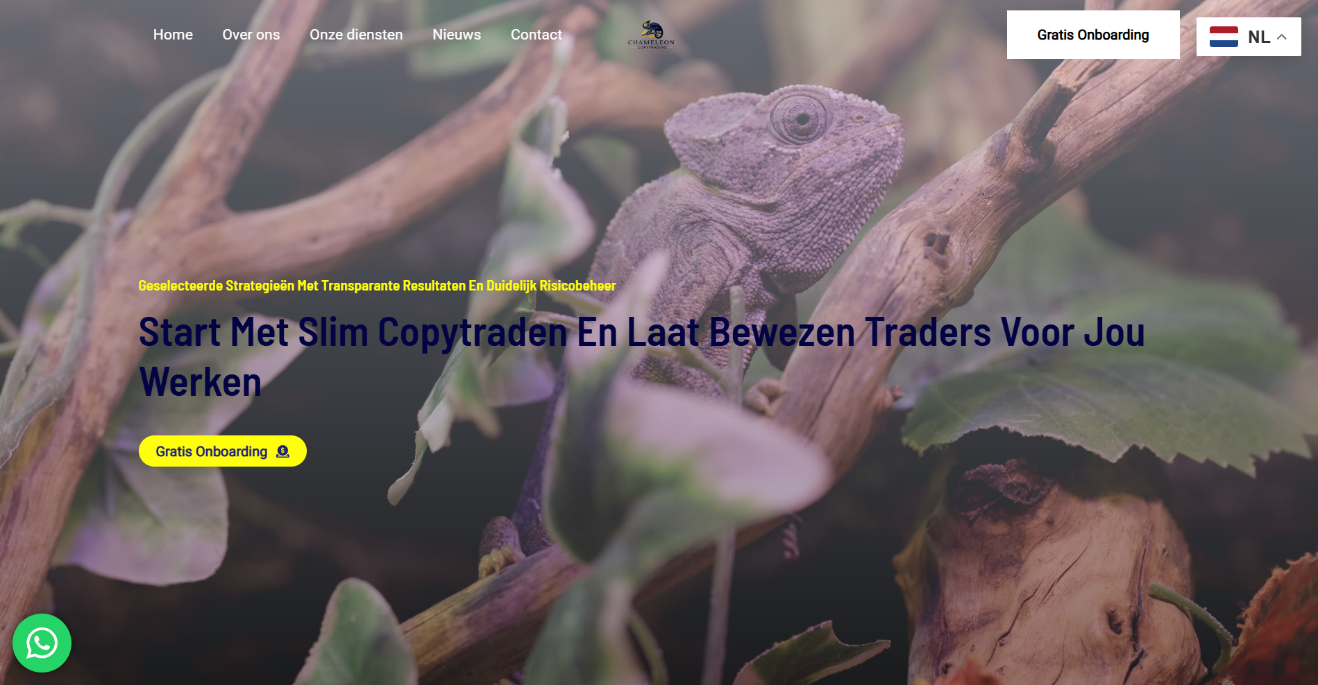 Chameleon Copytrading project